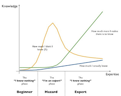 Figure 1 - The three stages of expertise